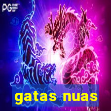 gatas nuas